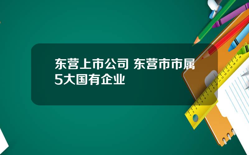 东营上市公司 东营市市属5大国有企业